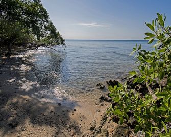 Isla Tijereto - Isla Grande del Rosario
