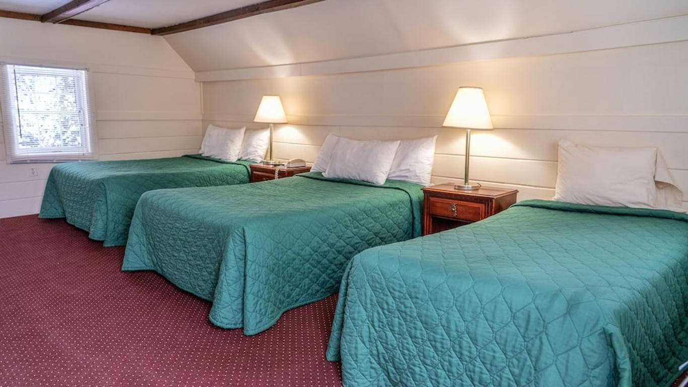 ماونت وايتير موتل