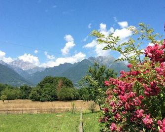 Il mondo roverso - Feltre - Outdoor view