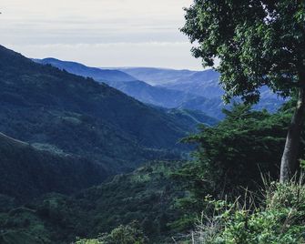 Jay's Guest House - Hagley Gap - Outdoor view