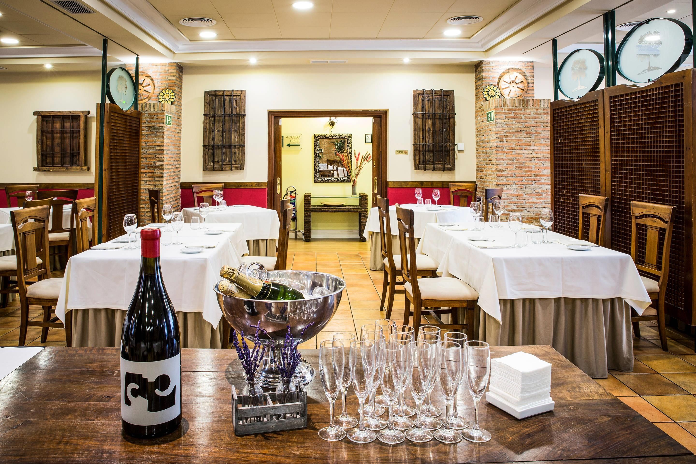 سيركوتل إيه بي أرغاندا