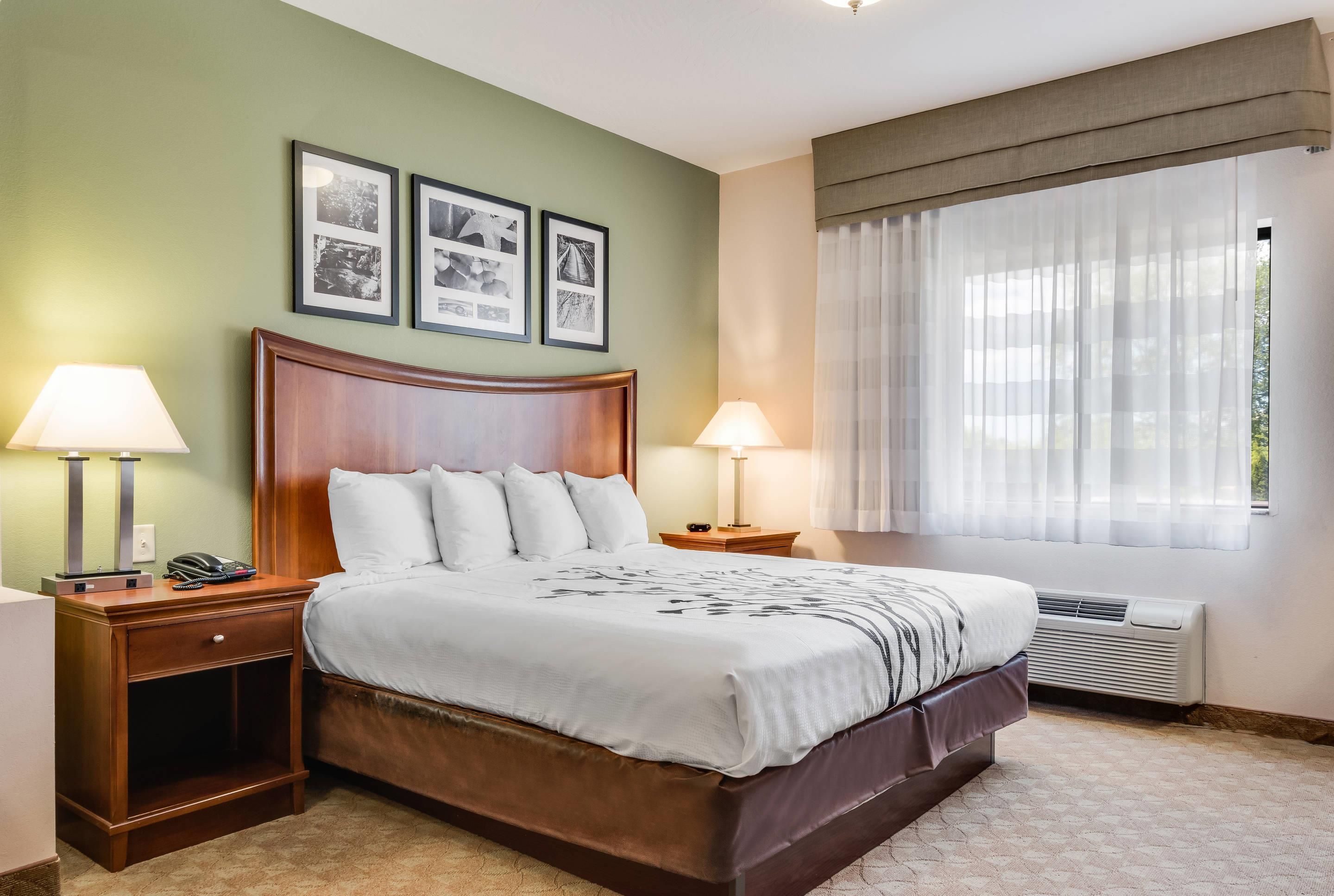 Sleep Inn & Suites Gettysburg - גטיסברג - חדר שינה