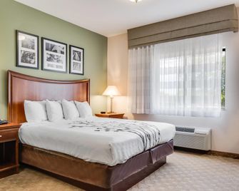 Sleep Inn & Suites Gettysburg - גטיסברג - חדר שינה
