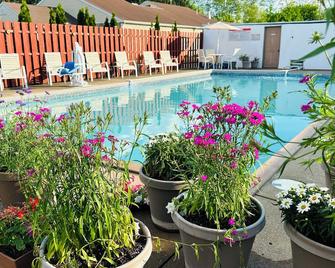 Quality Lodge Sandusky - Sandusky - Piscina