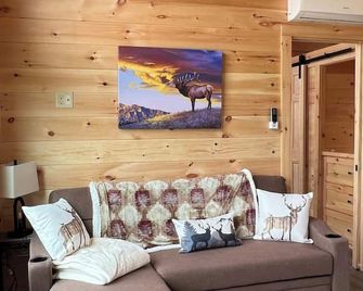 Elk Knob Escape ~ Cozy tiny cabin with an incredible view! - Boone - Living room
