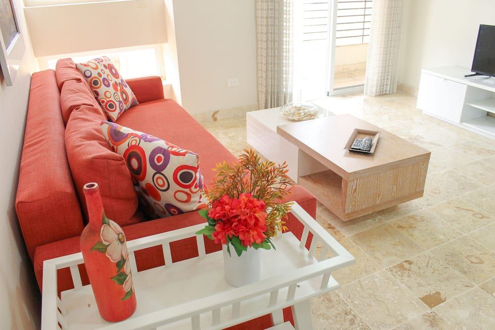 Modern 1br Apt Near Colonial Zone - سانتو دومينغو - غرفة معيشة