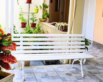 Pousada Guanabara Inn Campinas - Campinas - Patio