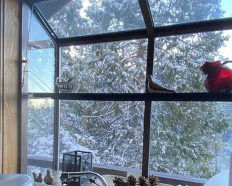 Epic stargazing at the Treehouse Chalet - Twain Harte - Balkon