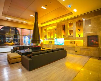 Hilton Garden Inn Sanliurfa - Sanliurfa - Vestíbul