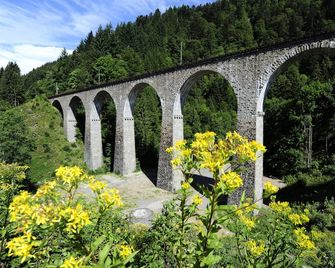 Hotel Hofgut Sternen - Ravennaschlucht - Breitnau