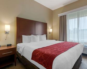 Comfort Suites Billings - Billings - Bedroom