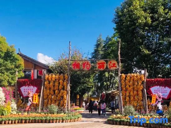 Number 1 Courtyard Hotel - Lijiang