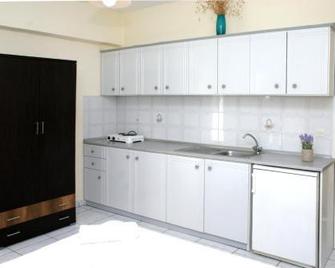 Fotini's Studios 2 - Toroni - Kitchen