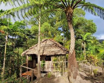 Lava View Bungalows - Tanna - Vista del exterior