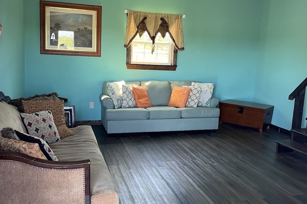 Cozy secluded cottage while still being able to enjoy everything in town. - Fredericksburg - Soggiorno