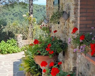 Agriturismo Manetti - Montespertoli - Vista del exterior