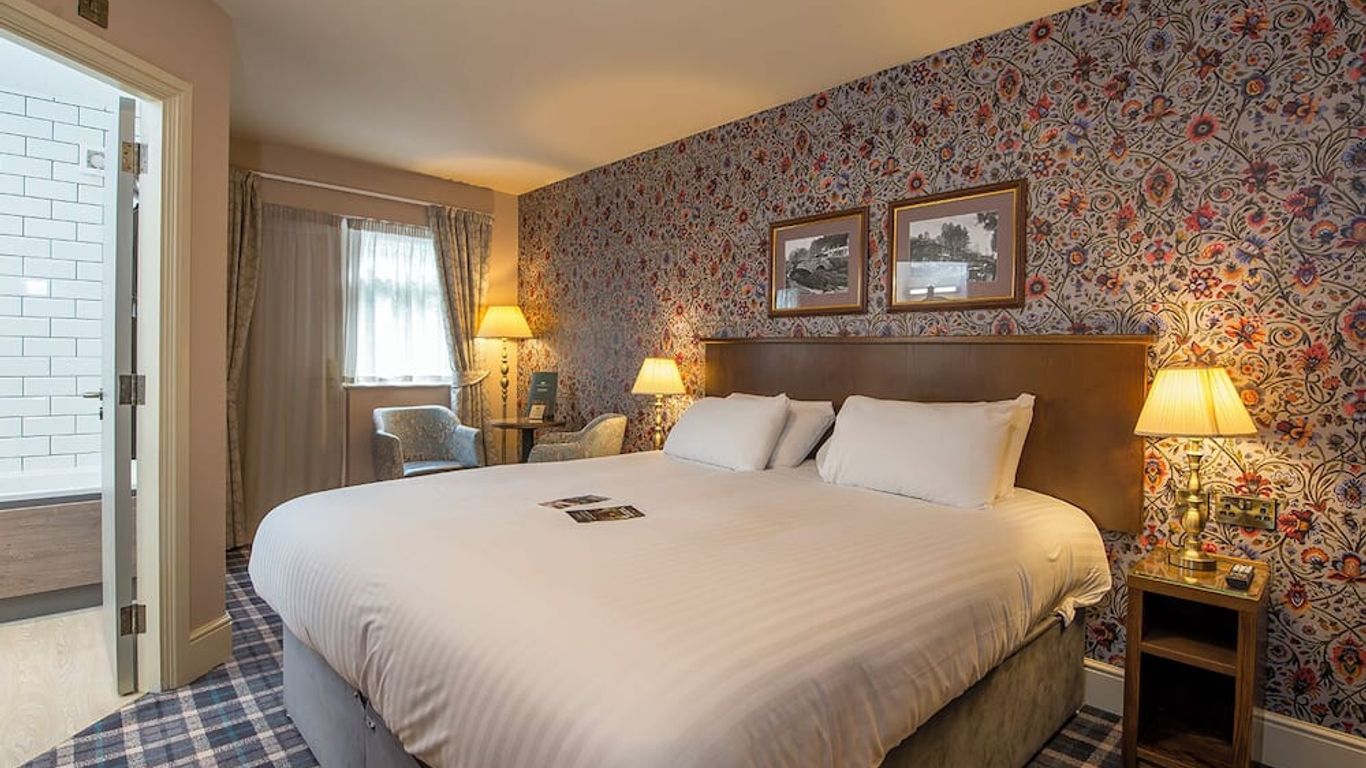 ذا سوالو فولز إن - ذا إن كوليكشن جروب