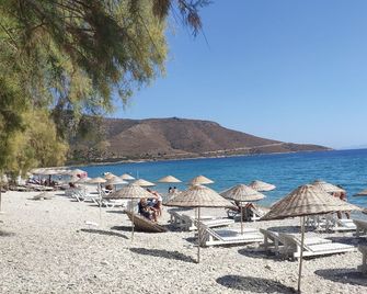 Kabuk Ev Pansiyon - Mesudiye - Playa
