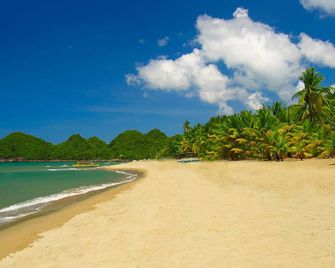 Takatuka Beach Resort - Sipalay - Playa