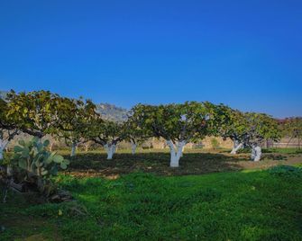 Saygin Farmhouse Ephesus Boutique Hotel - Tire - Vista del exterior