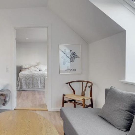 Bath tub penthouse in the city – Aalborg