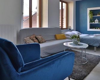 Studio de 30m² hypercentre très calme - Montbéliard - Huiskamer