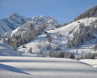 Hotel Edelweiss Superior - Lauterbrunnen - Näkymät ulkona