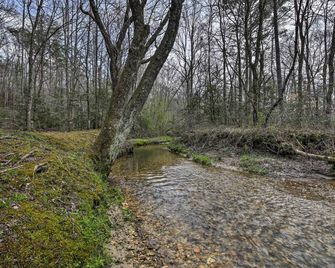 Creek Front Cabin w/ Hot Tub+Fire Pit - Blue Ridge - Vista del exterior