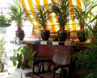 Don Alejandro - Havana - Patio
