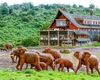 The Ark Lodge - Nyeri