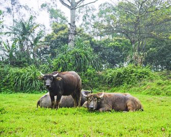 Hoang Giang Homestay - Ninh Binh