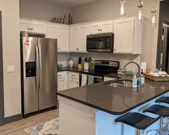 520 Neil Heart of Downtown Champaign - Champaign - Kitchen