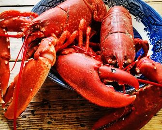 Kirkapol Beach Sleeps 4 with Dog Access - Isle of Tiree