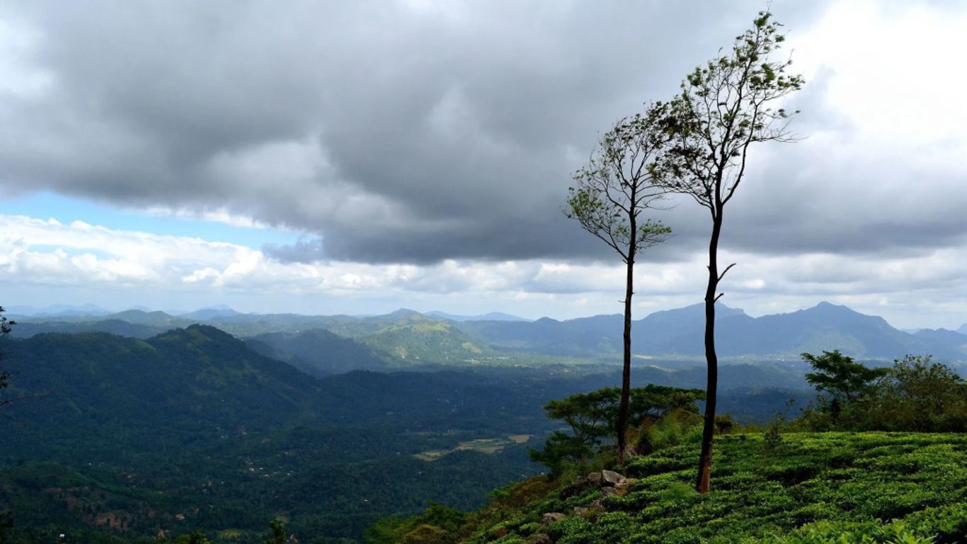 Green View Holiday Resort