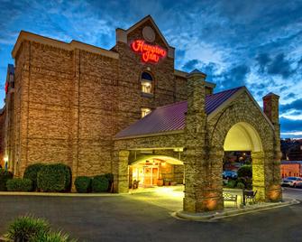 Hampton Inn Newberry-Opera House - Newberry - Edificio