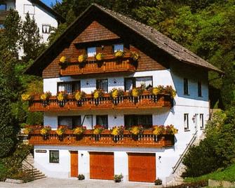 3 star apartment, sunny location facing south, marvellous view, winter sports - Bad Rippoldsau - Gebäude