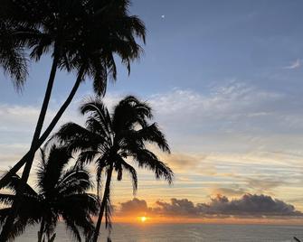 Oceanfront Duplex, With Pool, Sauna And Steps From Beach - Hilo - Beach