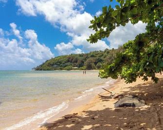 Paniolo 210A - Princeville - Beach
