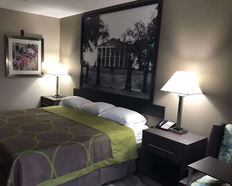 Super 8 by Wyndham Pascagoula - Pascagoula - Спальня