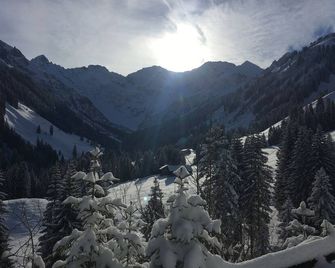 Forest time apartment - Schoppernau - Annehmlichkeit