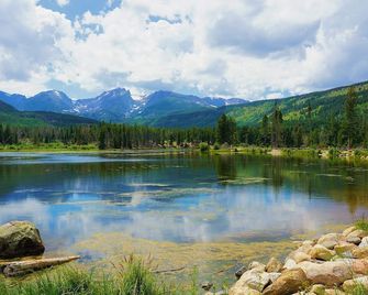 Old Town Escape w/ King Bed, Dog-friendly - Fort Collins