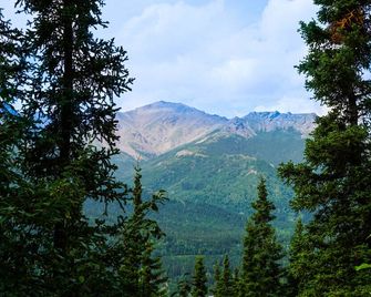 Denali Crow's Nest Cabins - Denali Park