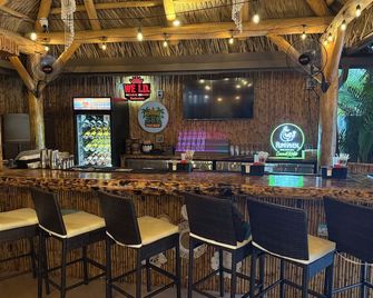 Siesta Key Palms Resort - Сарасота - Бар