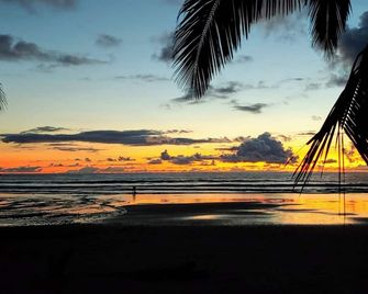 Private Garden, Walk Out to Community Pool, Beautiful 1 Bedroom 1 Bath Condo - Buenos Aires - Playa