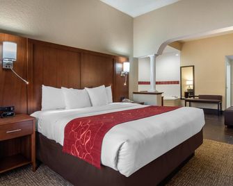 Comfort Suites Woodstock - Atlanta North - Woodstock - Habitación