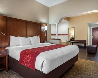Comfort Suites Woodstock - Atlanta North - Woodstock - Habitación