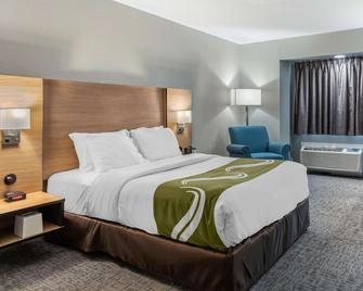 Quality Inn Downtown - near Market Square - San Antonio - Bedroom
