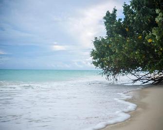 Emerald Gecko Resort-Havelock Island - Havelock Island - Strand