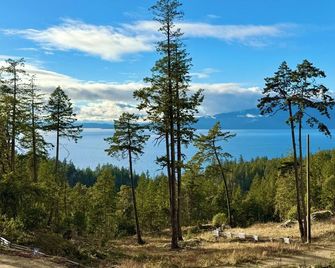 Arbutus Ridge, a cozy, architecturally unique cabin surrounded by arbutus trees - Halfmoon Bay - Outdoors view