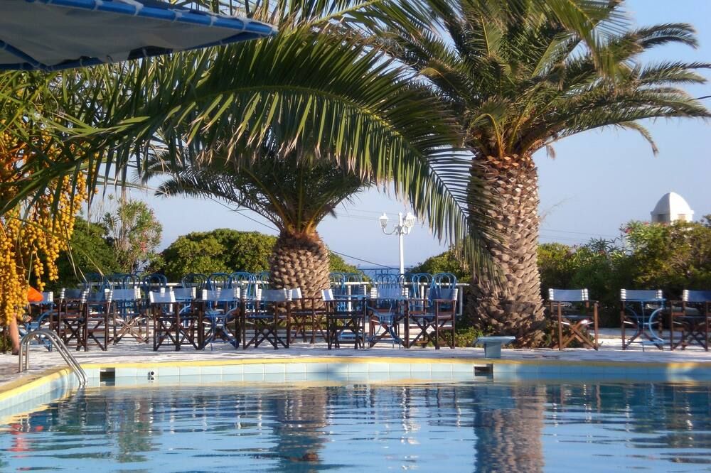 هولت ألكيون